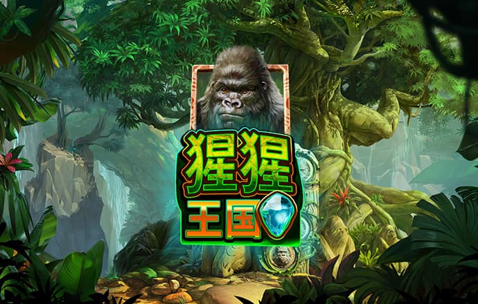 白菜网免费领取彩金